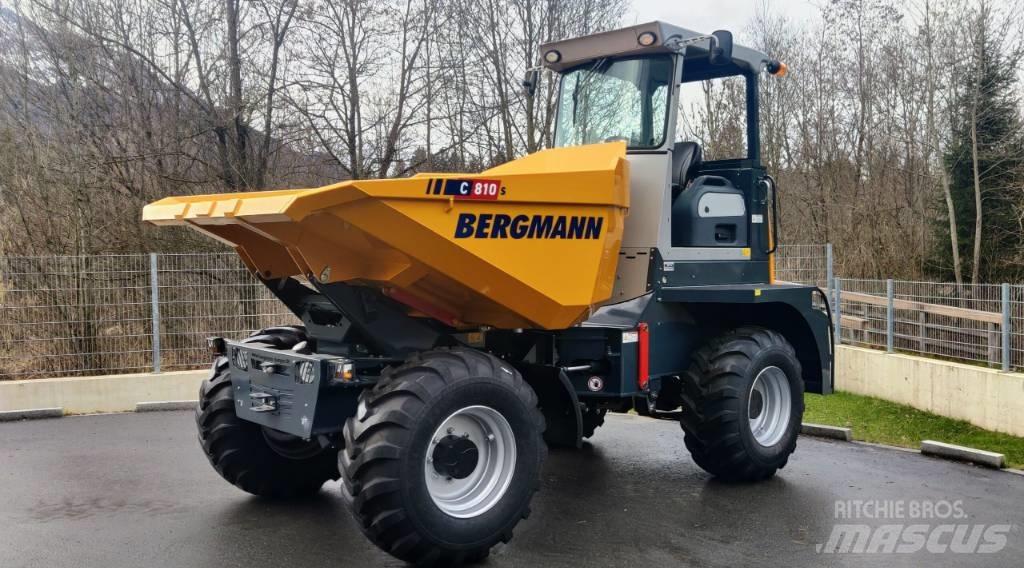 Bergmann C810s Kloubové dempry