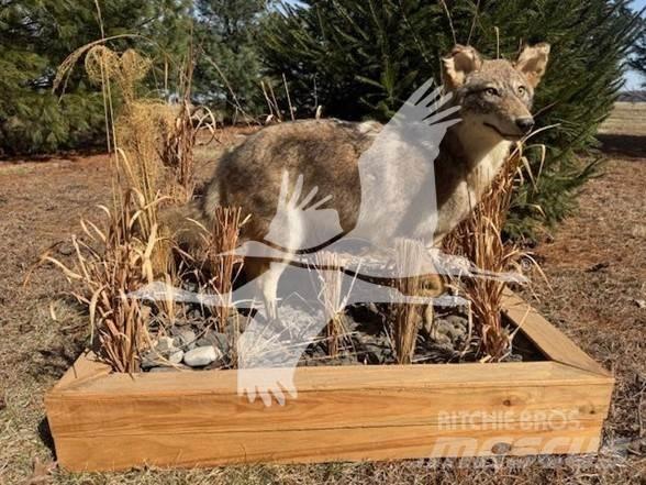 Coyote  Stavebnictví - ostatní