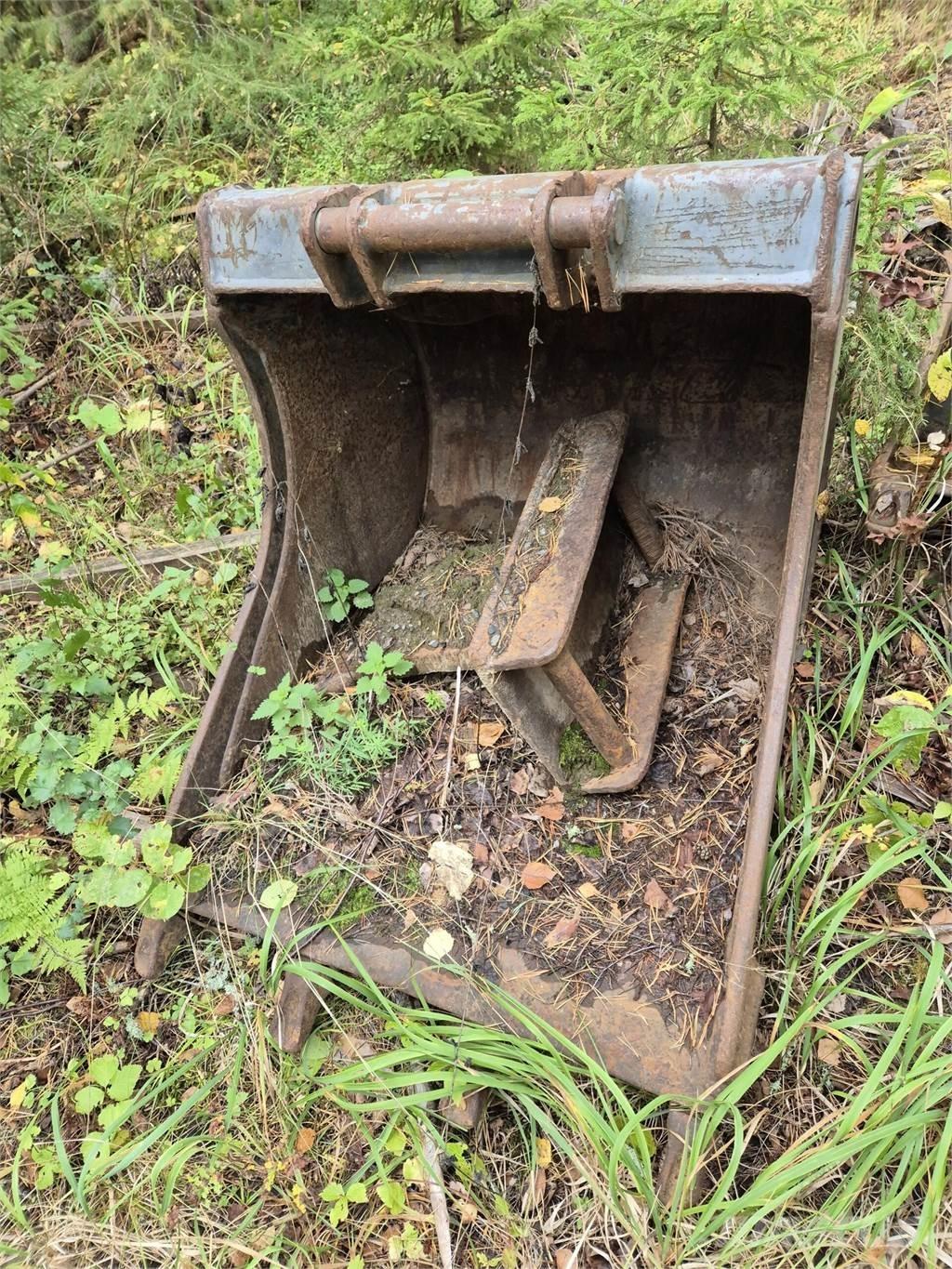 Lännen kynsikauha Lopaty