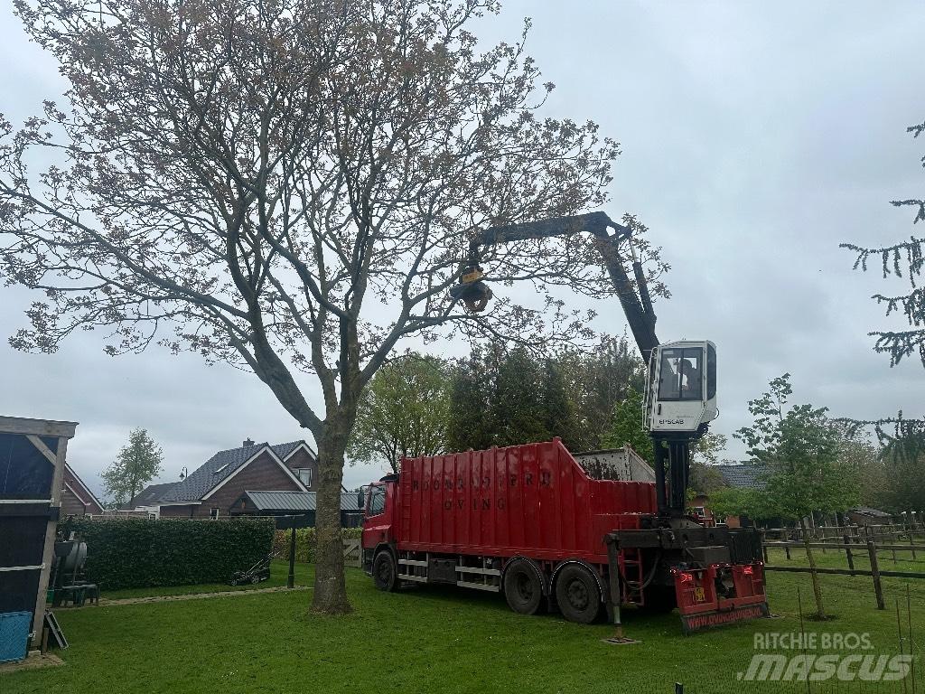 DAF cf As75pc Vozy na přepravu kmenů