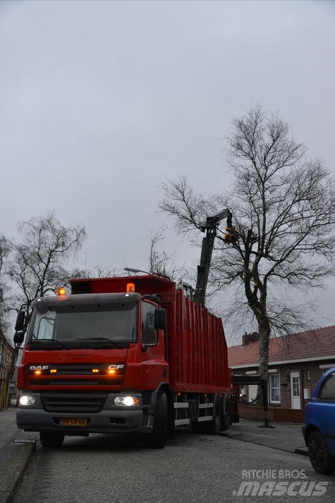 DAF cf As75pc Vozy na přepravu kmenů