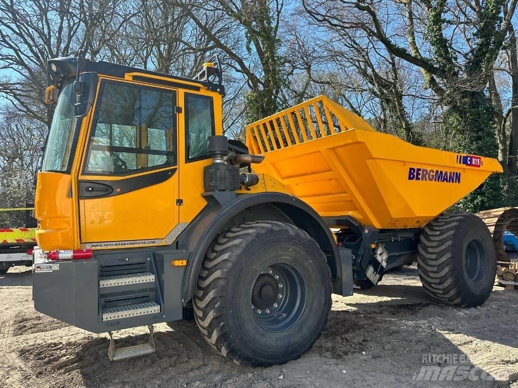 Bergmann C815S Kloubové dempry