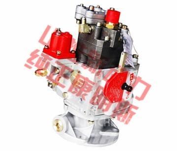 Cummins fuel pump Doprava – ostatní