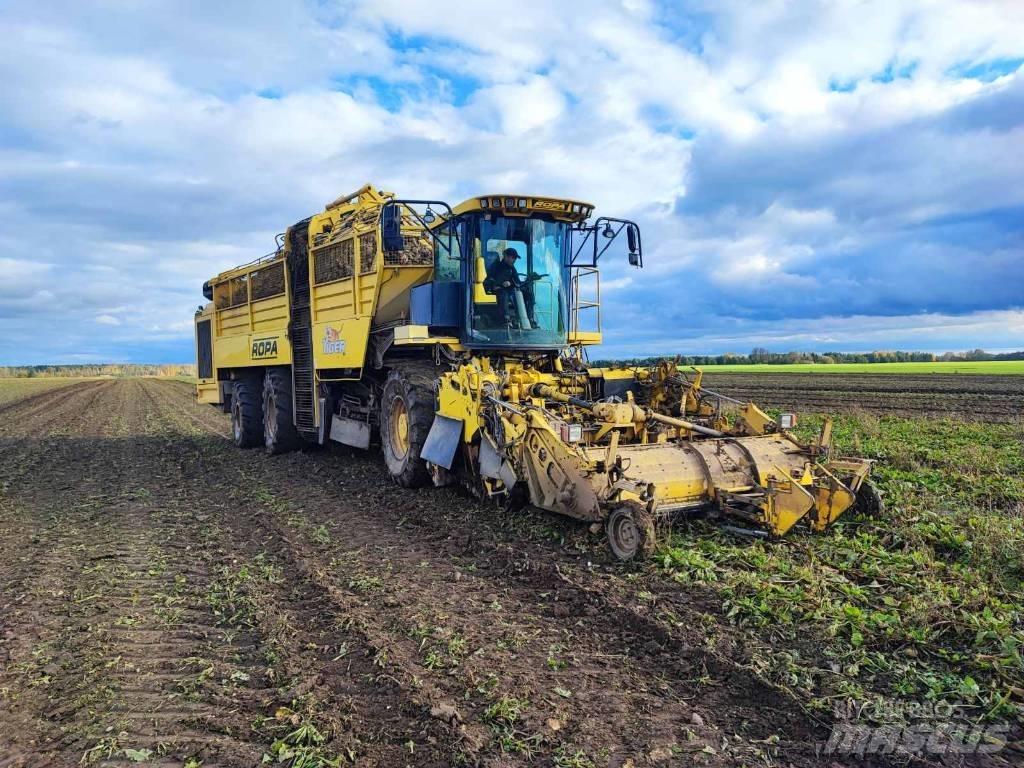 Ropa Tiger 4 Řepné kombajny