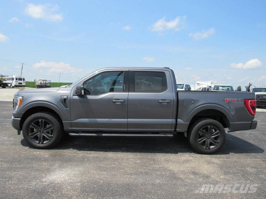 Ford F-150 Pick up/Valník