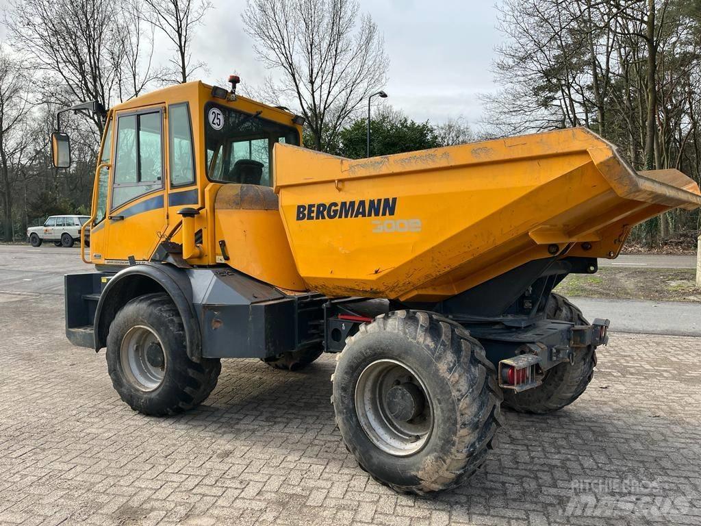 Bergmann 3009 R Kloubové dempry