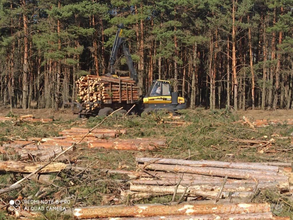 Ponsse Buffalo King Vyvážecí traktory