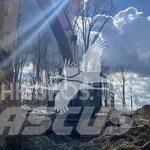 CAT 349EL Pásová rýpadla