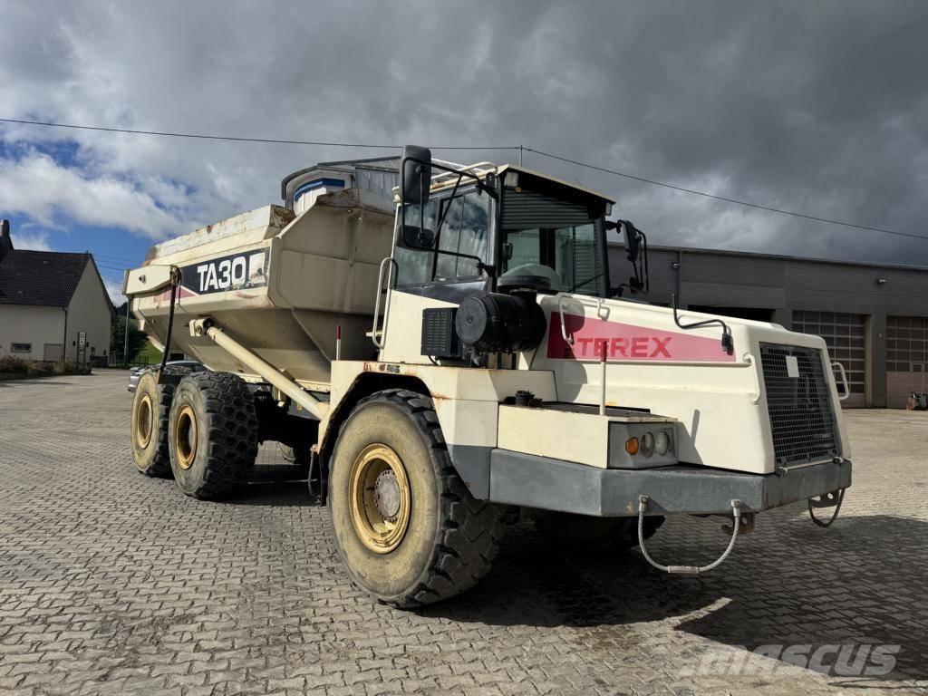 Terex TA 30 Kloubové dempry