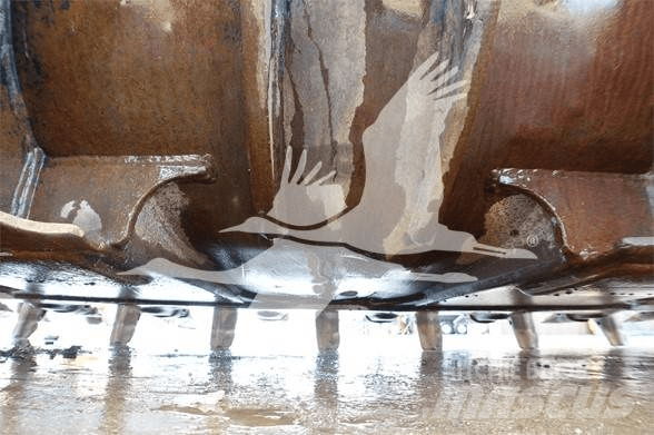 CAT TB LINKAGE Lopaty