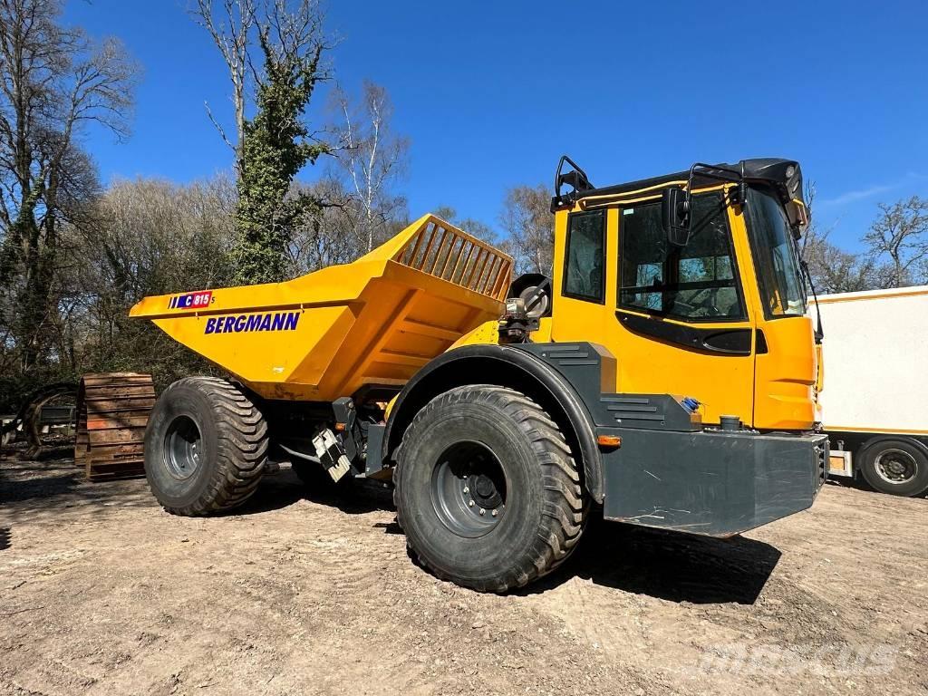 Bergmann C815S Kloubové dempry