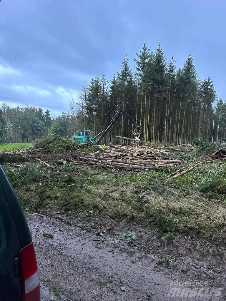 Impex Königstiger Harvestory