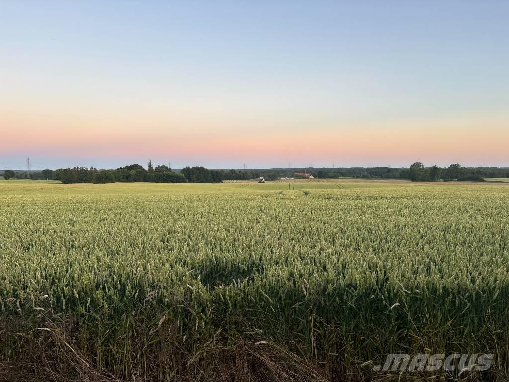 Case IH Maxxum 115 Traktory