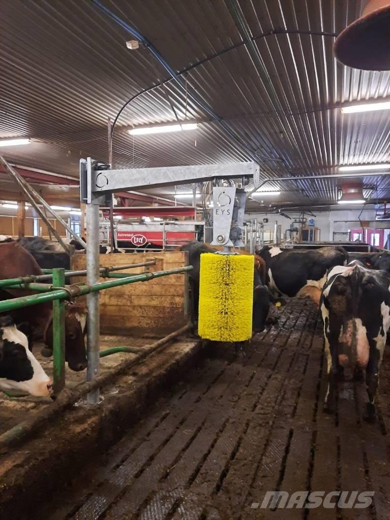  EYS - Kubørste Další