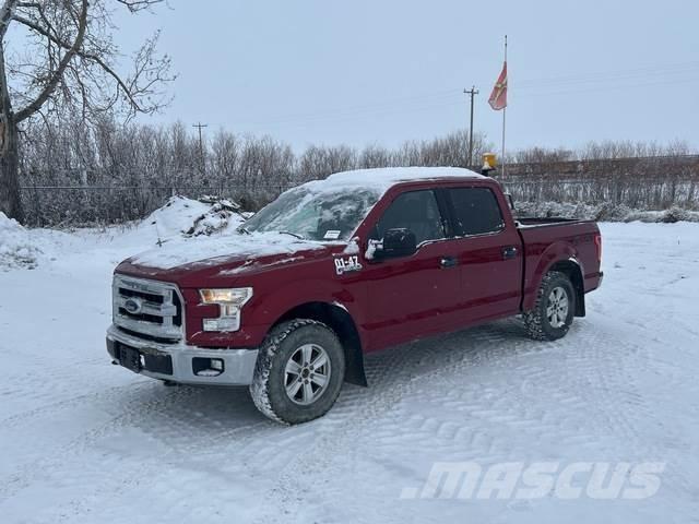 Ford F-150 Pick up/Valník