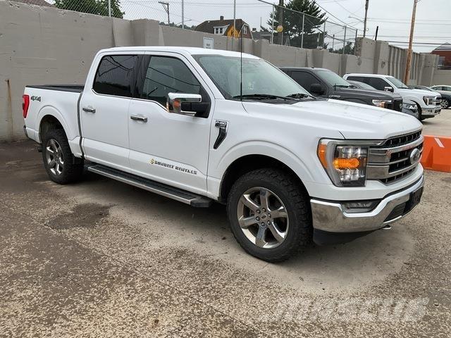 Ford F-150 Další