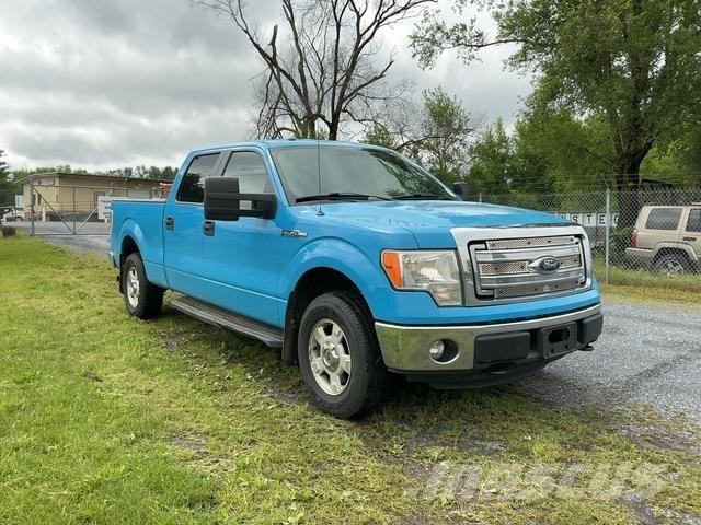 Ford F-150 Pick up/Valník