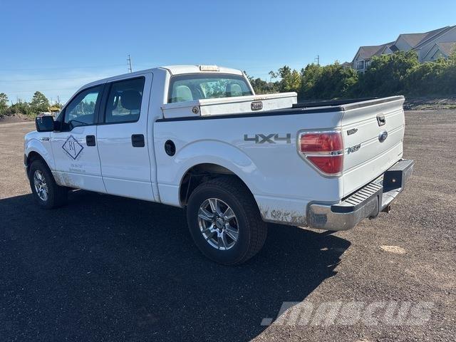 Ford F-150 Pick up/Valník