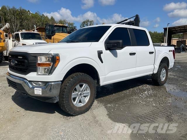 Ford F-150 Pick up/Valník