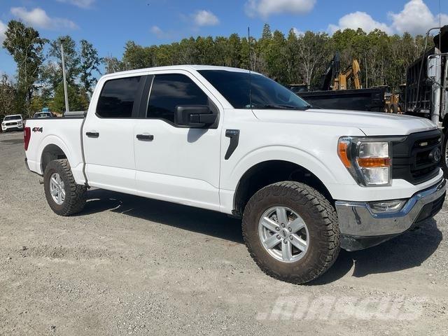 Ford F-150 Pick up/Valník