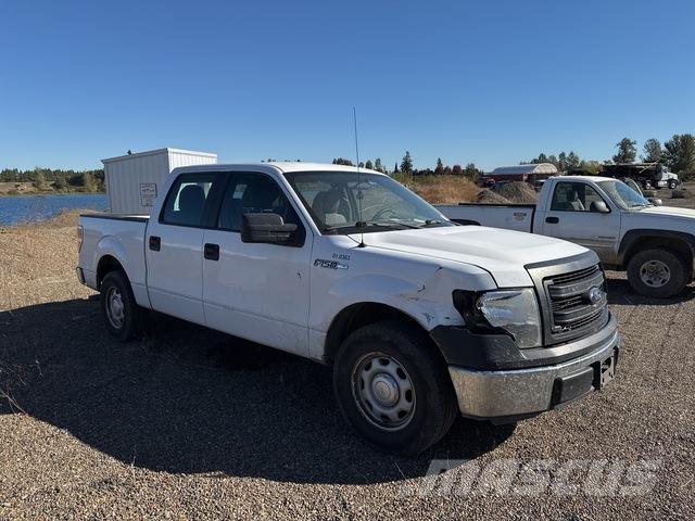 Ford F-150 Pick up/Valník