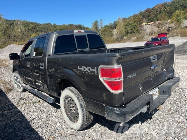 Ford F-150 Pick up/Valník