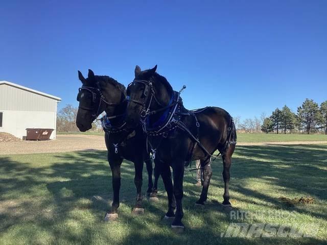  Percheron Team Stavebnictví - ostatní