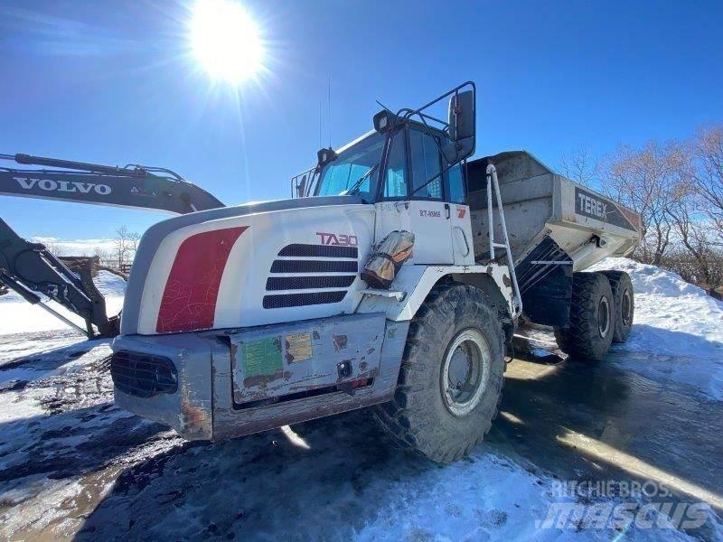 Terex TA30 Kloubové dempry