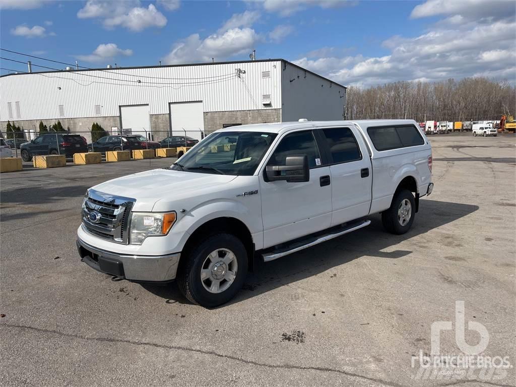 Ford F-150 Pick up/Valník