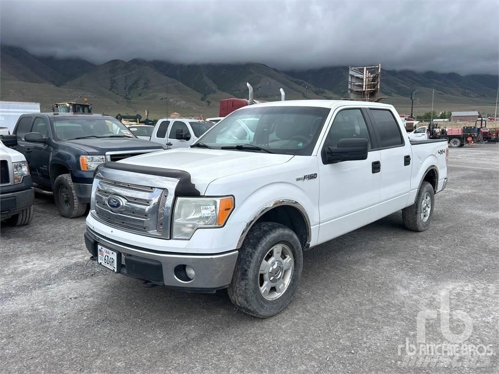 Ford F-150 Pick up/Valník
