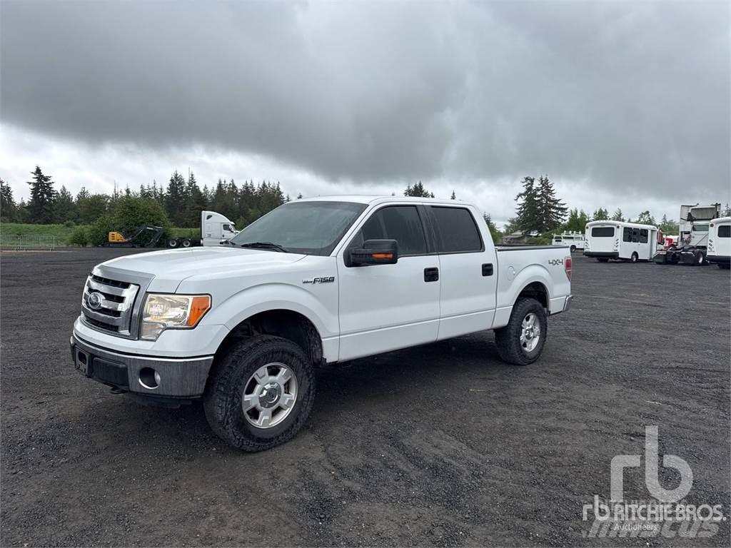 Ford F-150 Pick up/Valník