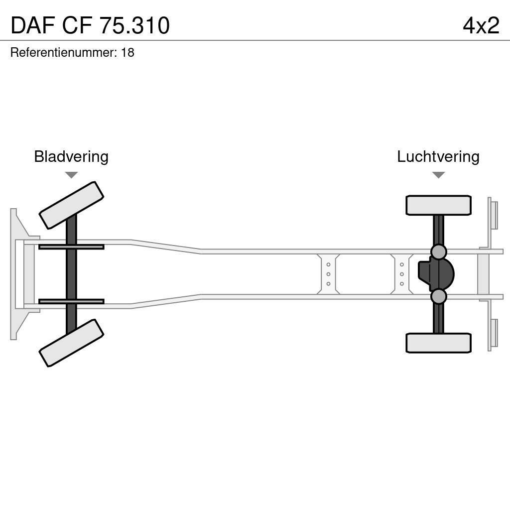 DAF CF 75.310 Hákový nosič kontejnerů