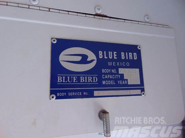 International BLUEBIRD Další