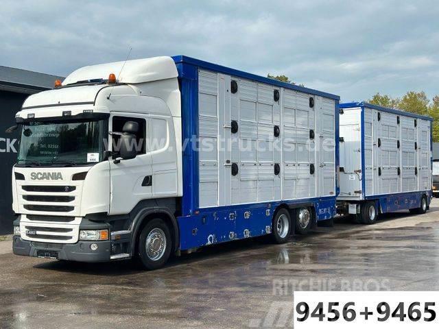 Scania R480 6x2 3.Stock FINKL Komplett-Zug Animal transport trucks