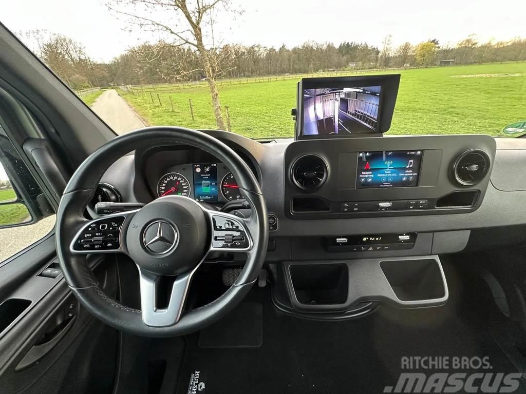 Mercedes-Benz Sprinter AMG 2-paards paardenvrachtwagen B-rijbewi Vozy na přepravu zvířat